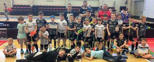 STRŽI VYMETLI PLZEŇ, MLŽI S PŘÍPRAVKOU ŘÁDILI DOMA